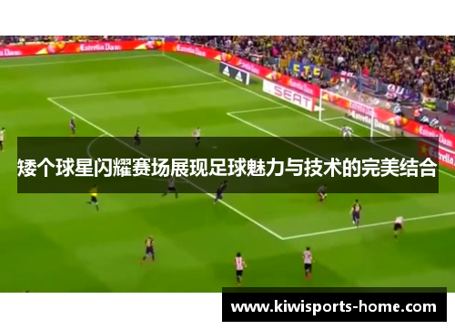 矮个球星闪耀赛场展现足球魅力与技术的完美结合